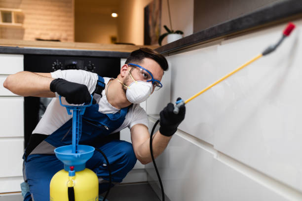 Best Bed Bug Extermination  in Modesto, CA