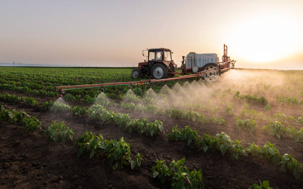 Best Wildlife Control Services  in Modesto, CA