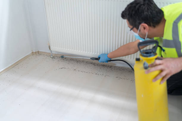 Best Wildlife Control Services  in Modesto, CA