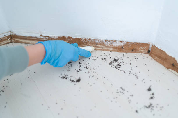 Modesto, CA Pest Control Company